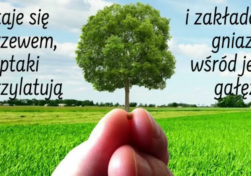 Przypowieść o ziarnku gorczycy streszczenie – znaczenie i przesłanie biblijne