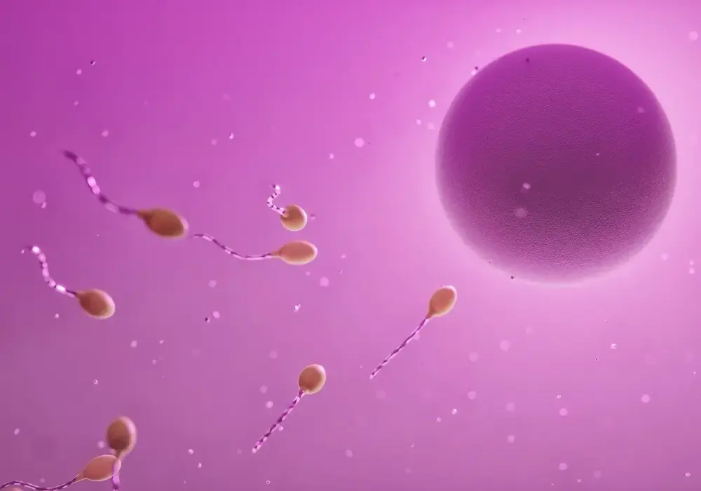 Czy in vitro to grzech? Moralne i religijne dylematy procedury in vitro