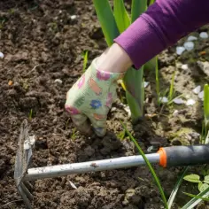 Skuteczne sposoby na pozbycie się chwastów na cmentarzu bez chemii