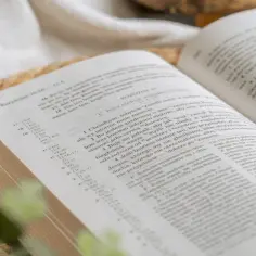 Otwarta Biblia, na której widać tekst, przypomina o miłości z Pieśni nad pieśniami.