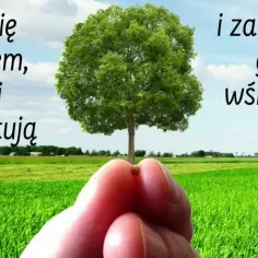 Przypowieść o ziarnku gorczycy streszczenie – znaczenie i przesłanie biblijne