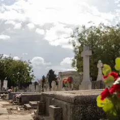 Kto jest właścicielem miejsca na cmentarzu? Poznaj swoje prawa i obowiązki
