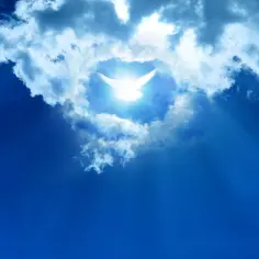 Biały gołąb jaśnieje pośród chmur, symbolizując niedzielę zesłania Ducha Świętego.