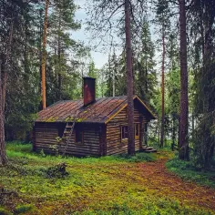 Drewniana chata w lesie, otoczona drzewami. Wokół ścieżka i mech. Może to miejsce na modlitwę egzorcyzmu domu?