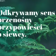 Przypowieść o siewcy: znaczenie dosłowne i przenośne w życiu codziennym