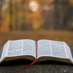 Otwarta Biblia na kamieniu, jesienny las w tle. Słowa Pisma Świętego mogą prowadzić do żalu za grzechy i modlitwy.