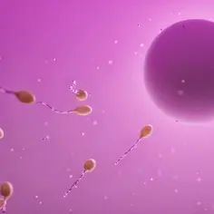 Czy in vitro to grzech? Moralne i religijne dylematy procedury in vitro