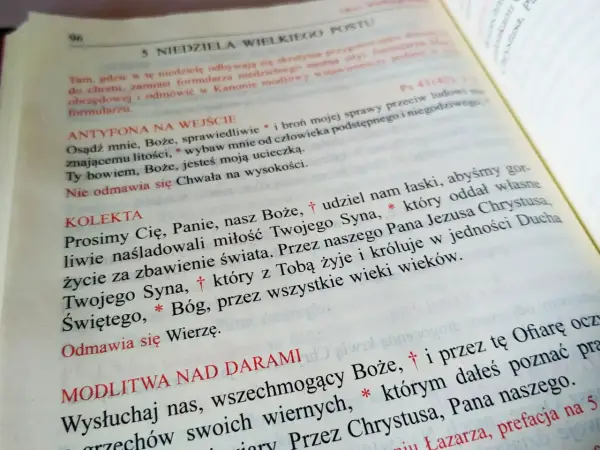 Kolekta: Modlitwa czy taca? Poznaj dwa znaczenia słowa